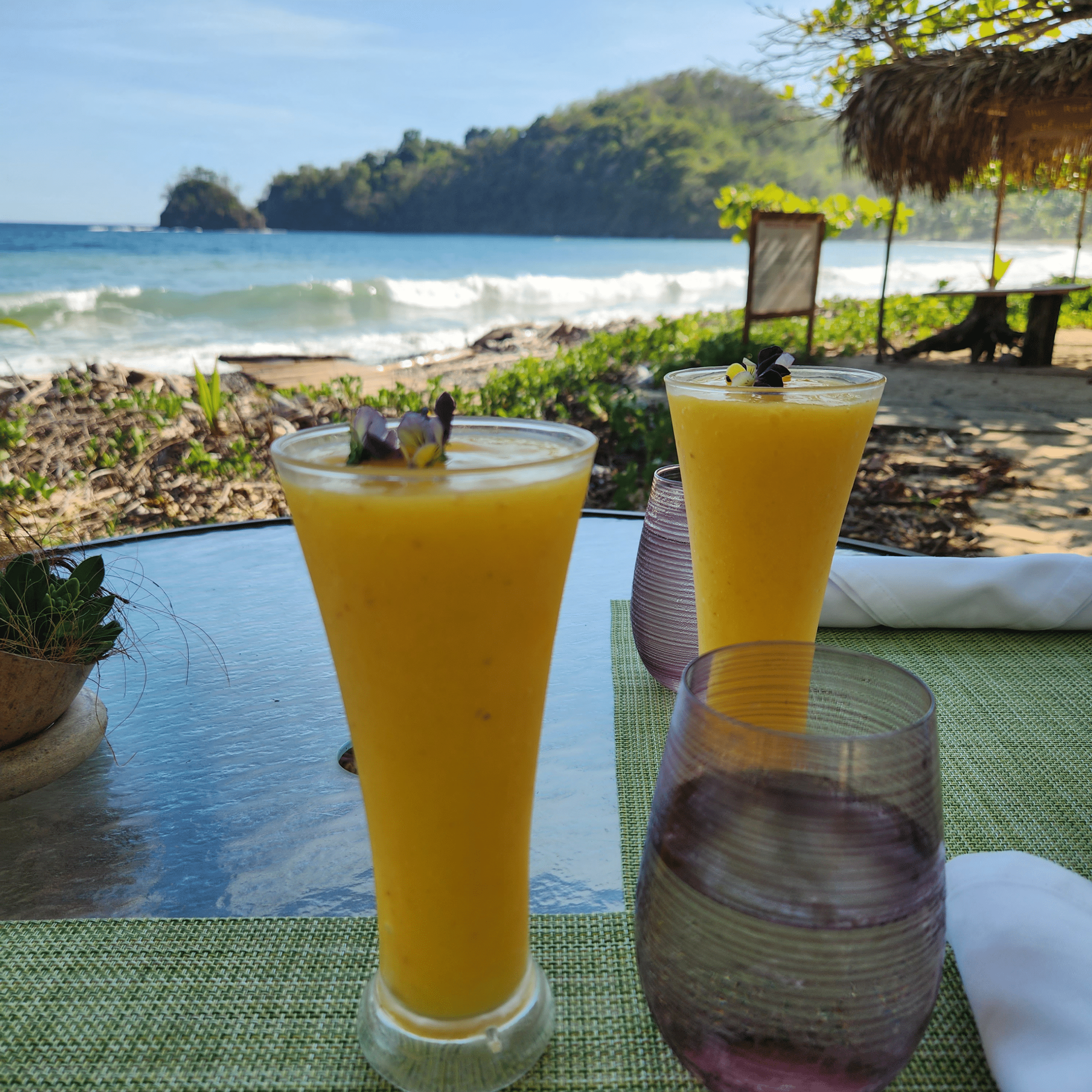 Serene Beach View with Mocktails